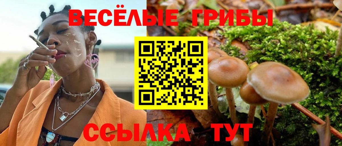 Галлюциногенные грибы мухоморы Сыктывкар